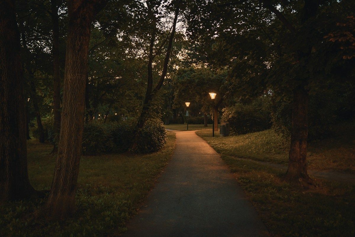 Allée de parc au crépuscule, éclairée par un réverbère